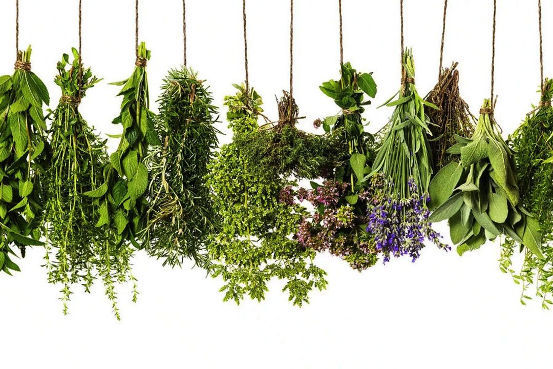 тропски билни екстракт во Eroboost